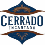 logo_fundo_transparente